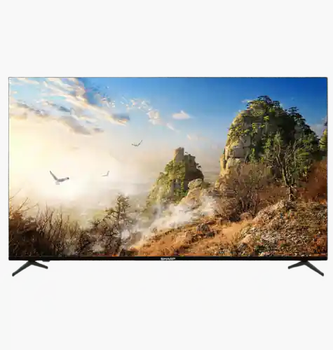 شارب شاشة سمارت 55 بوصة 4K UHD LED Google TV - 4T-C55FJ16EX